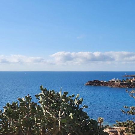 Petit Paradis Vue Mer- Plage Et Calanques A 3 Mn Saint-Raphaël Kültér fotó